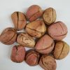 African Kola Nut